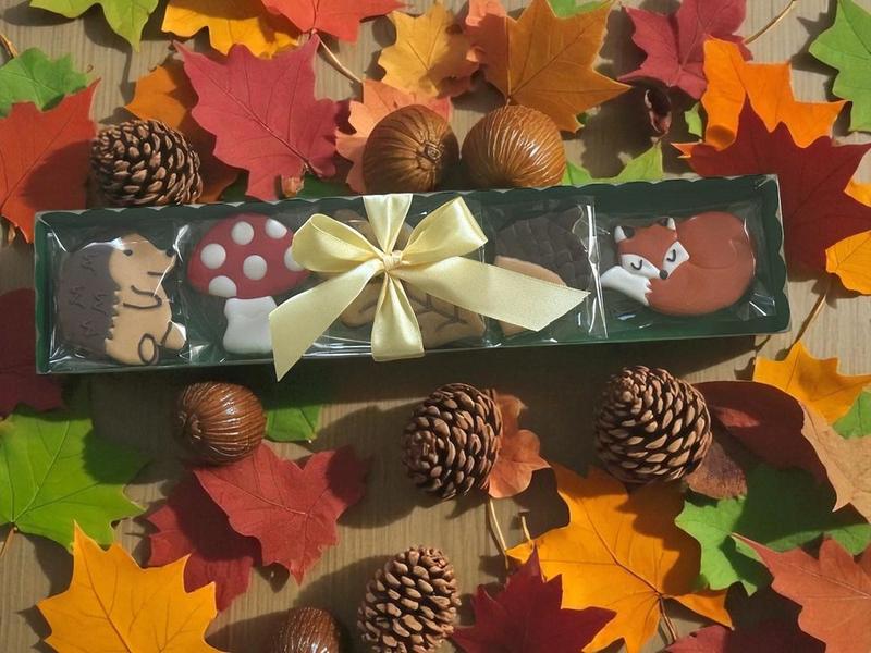 Coffret Automne — photo 1