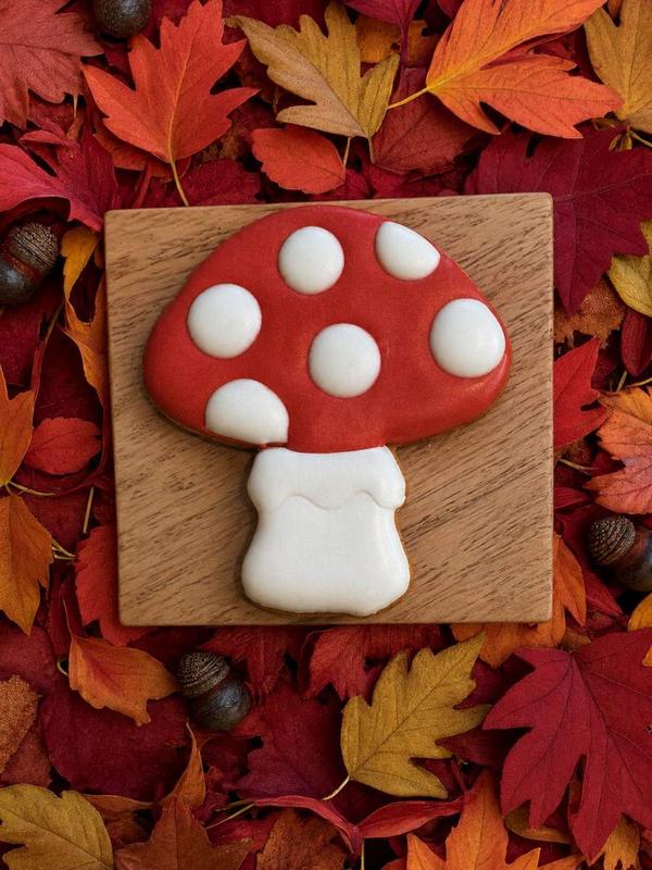 Coffret Automne — photo 2