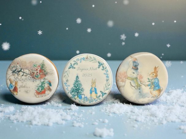 Collection Pierre Lapin Noël 2025